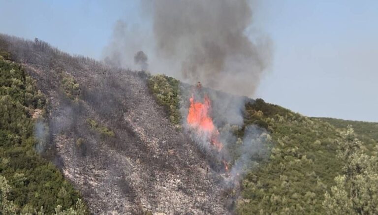 bursa orman yangini bir supheli gozaltina alindi 5BYViDWt