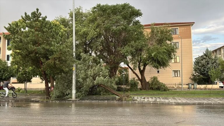 erzincanda saganak ve firtina uaWXIb5L