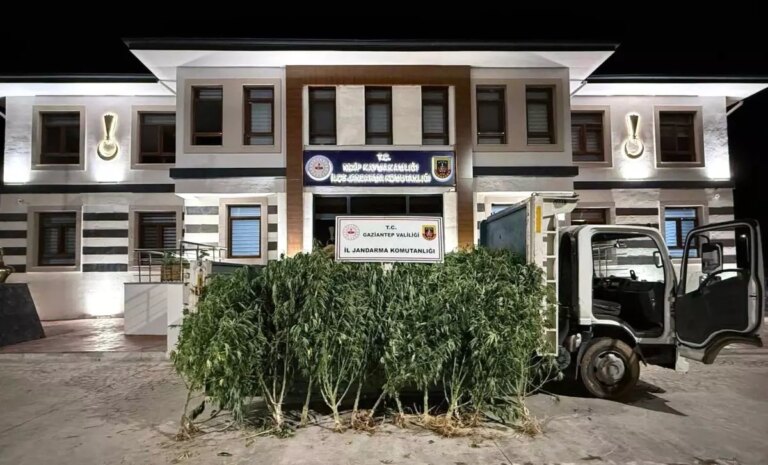 gaziantepte 825 kok kenevir ele gecirildi b5urrFgG