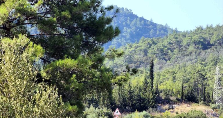 ormanlarda maden arama hukumleri degisti LqCsnAnk
