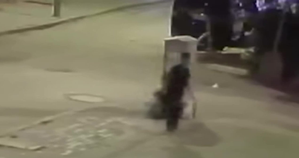 aksarayda yavru kediye iskence defalarca firlatarak oldurdu FqIaJPVF