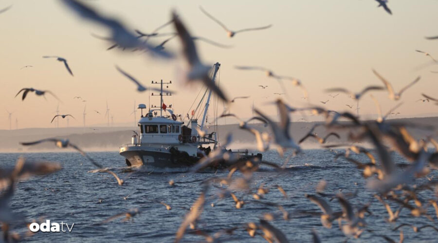balikcilar vira bismillah dedi wukz4GlR