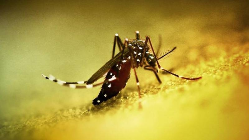 cinde halk sagligi acil durumu ilan edildi cngDz3FR