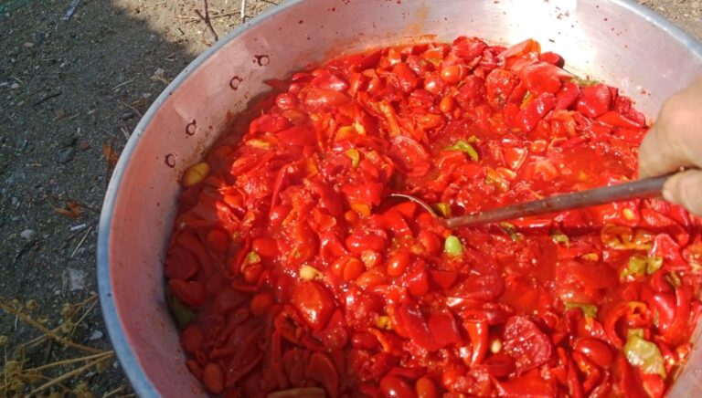 kis mevsimi gelmeden kirsal kesimlerde salca yapimi basladi HeuLxtUL