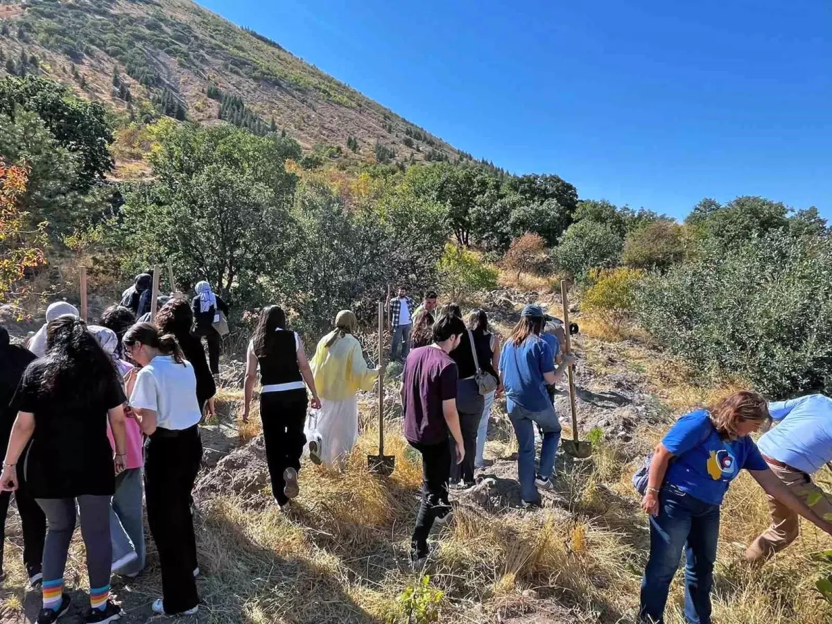 talasta dunya eczacilar gununde fidan dikim etkinligi gerceklestirildi bsFMAwsX