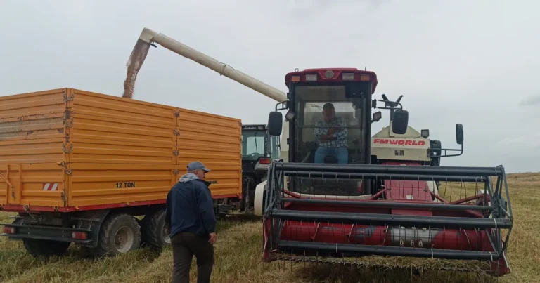 tarimda devrim dunyada ilk damlama sulama ile celtik uretimi 1ADQ8vyr