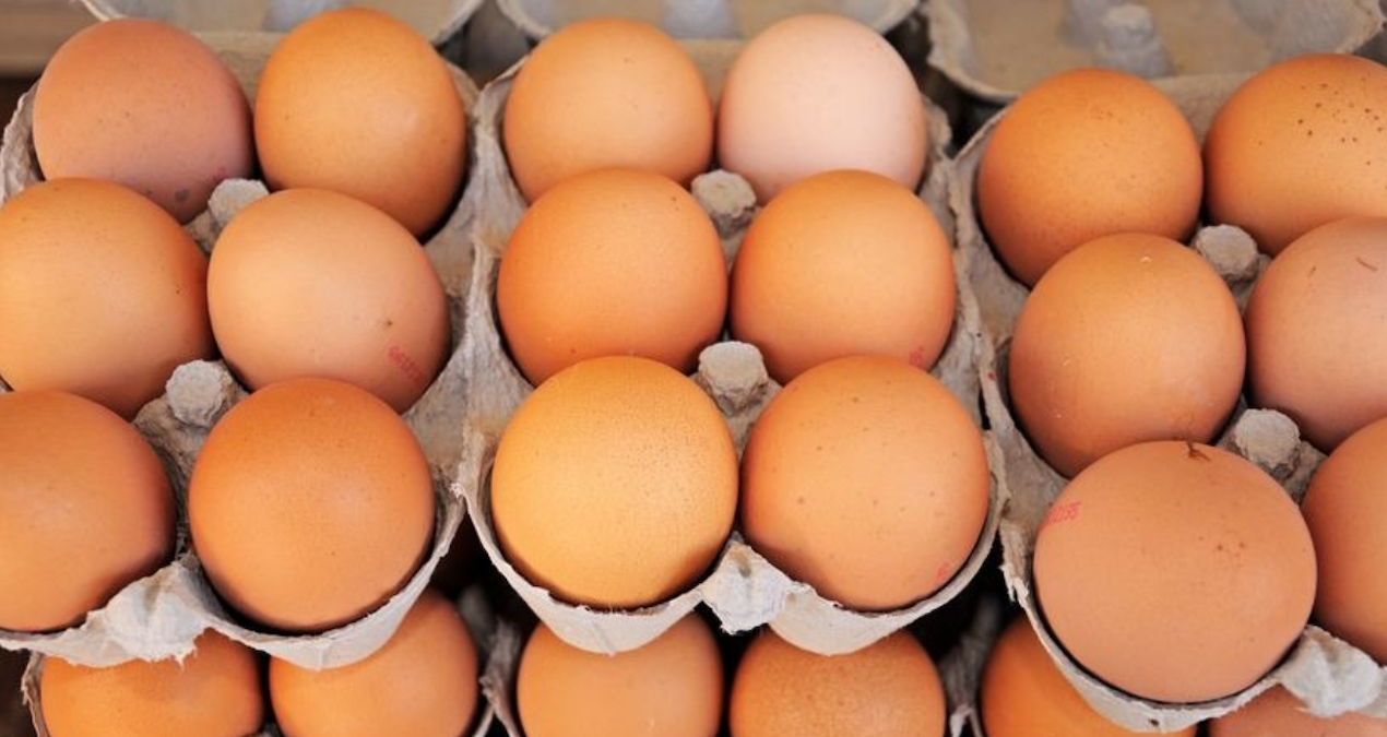 yumurta krizi kapida uretimde sert dusus RabK1vLh.jpg