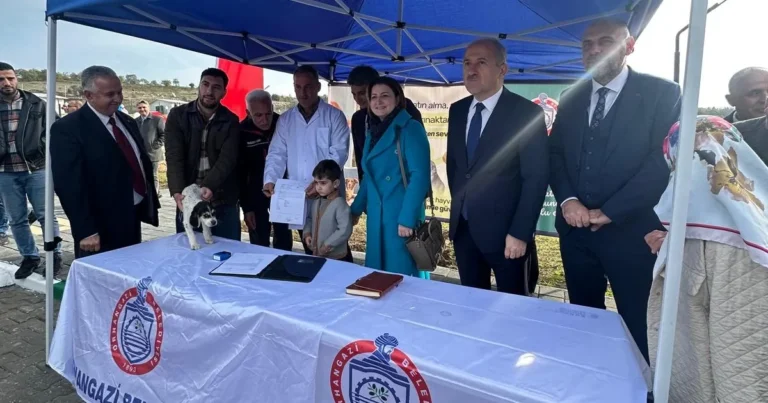 bursa-orhangaziye-turkiyenin-en-modern-sokak-hayvanlari-merkezi-acildi-89DSCbBj.webp