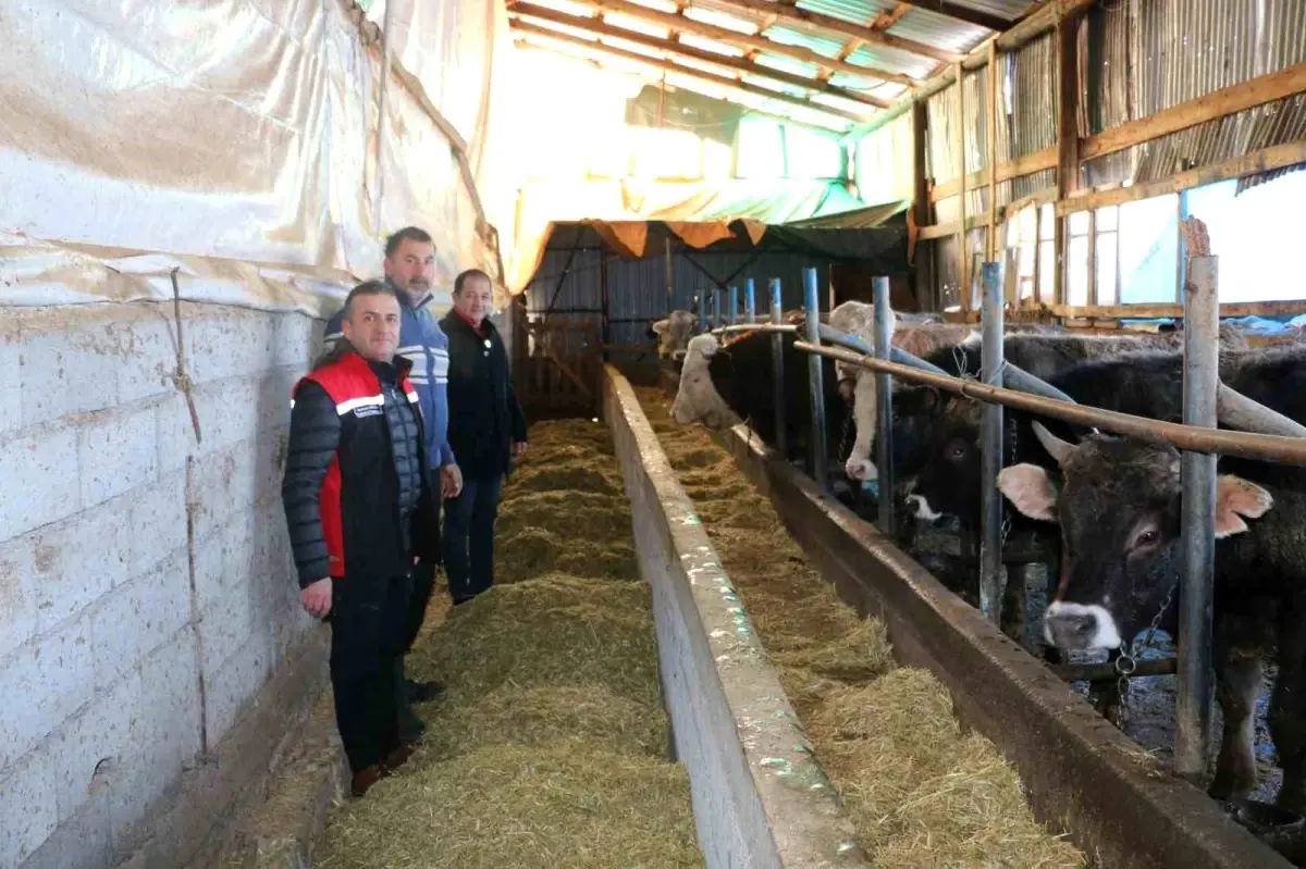 Aile İşletmeleri Süt Üretiminde Önemli