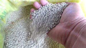 rusya-gubre-ihracatina-uyguladigi-kotayi-yil-sonuna-kadar-uzatti-pBlOEzPL