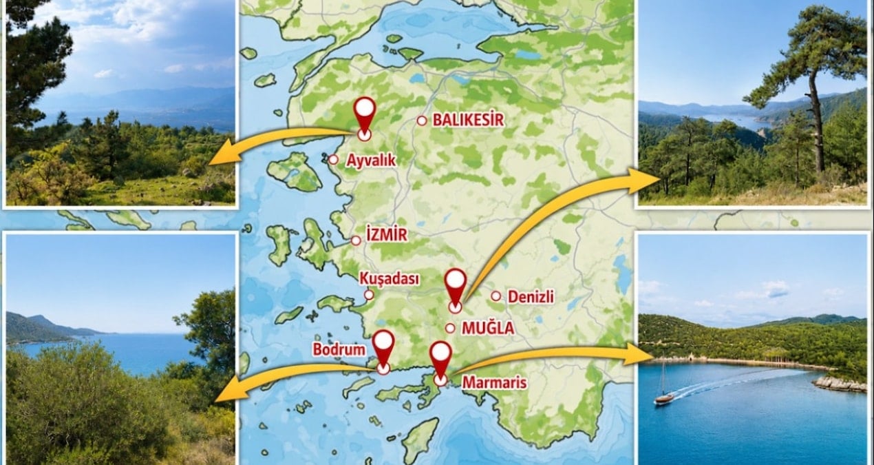 19 Mayıs’ta Satışa Devam: Orman Alanları Tehdit Altında